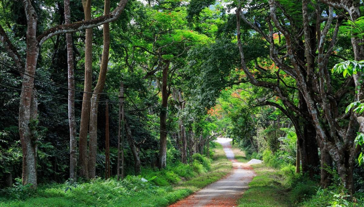 3 điểm du lịch sinh thái gần Hà Nội để “đổi gió” cuối tuần 3 điểm du lịch sinh thái gần Hà Nội để “đổi gió” cuối tuần