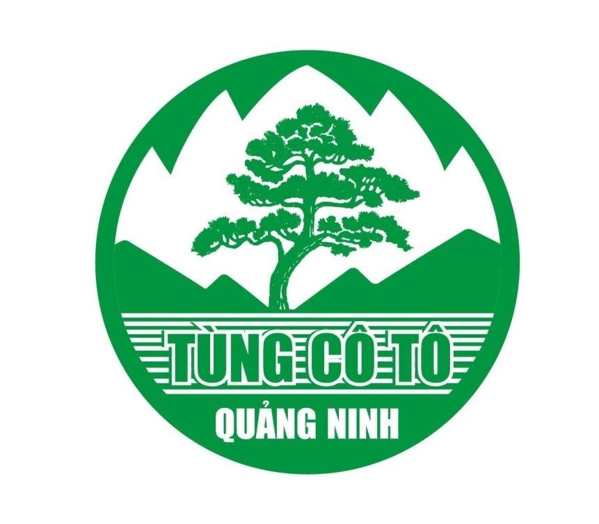 Công viên Tùng Cô Tô và nỗ lực bảo tồn thương hiệu cây cảnh địa phương Công viên Tùng Cô Tô và nỗ lực bảo tồn thương hiệu cây cảnh địa phương