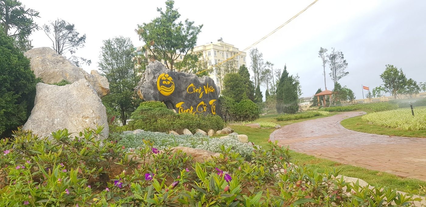 Công viên Tùng Cô Tô và nỗ lực bảo tồn thương hiệu cây cảnh địa phương Công viên Tùng Cô Tô và nỗ lực bảo tồn thương hiệu cây cảnh địa phương