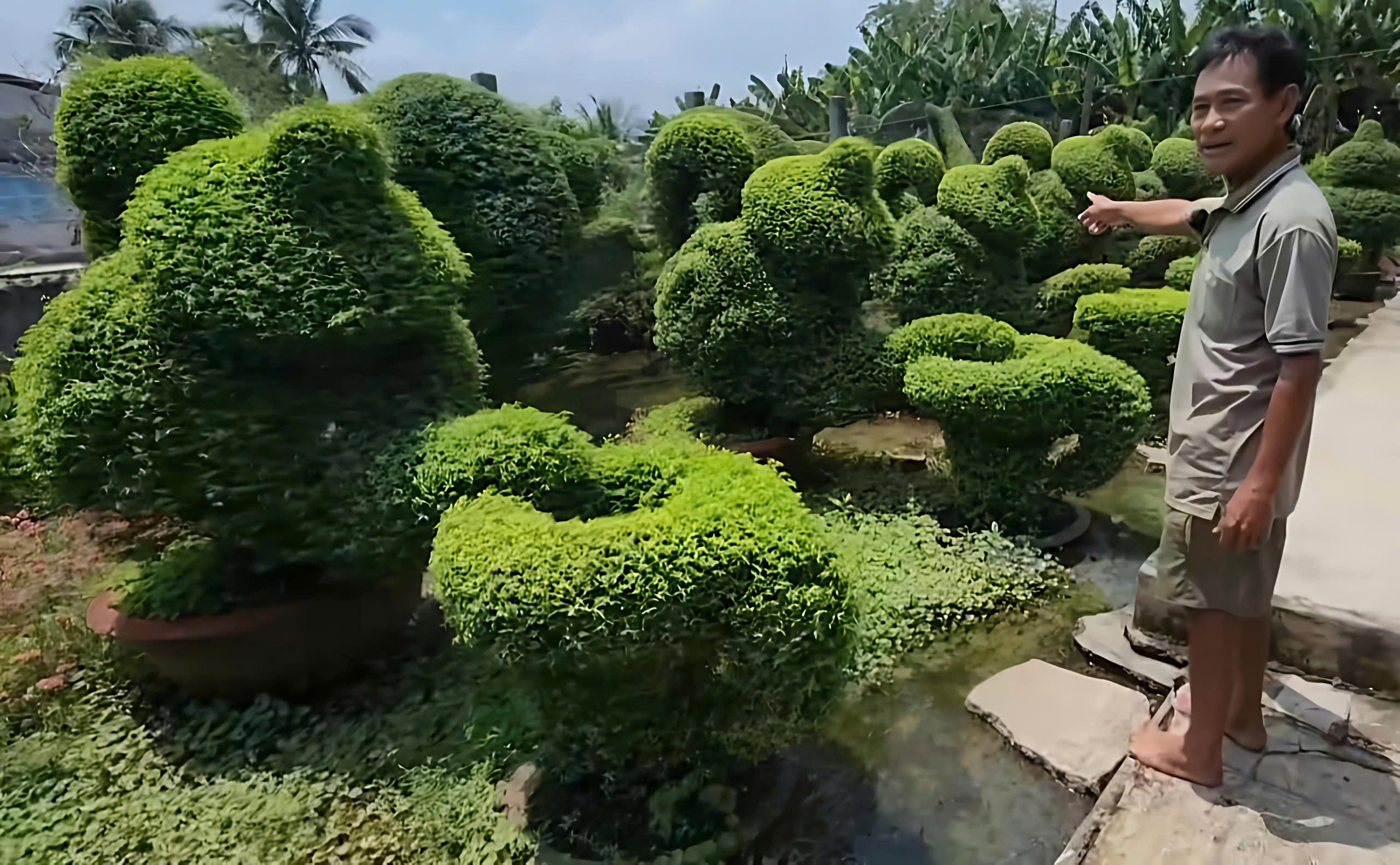 Khi người nông dân trở thành nghệ nhân: Câu chuyện đam mê của ông Lê Văn Phúc ở Tây Ninh Khi người nông dân trở thành nghệ nhân: Câu chuyện đam mê của ông Lê Văn Phúc ở Tây Ninh
