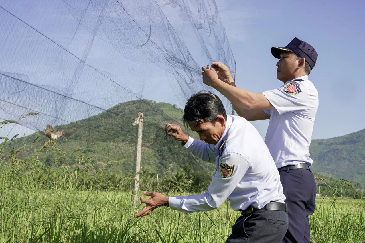 Khánh Hòa lập tổ liên ngành, siết chặt xử lý nạn săn bắt chim yến trái phép