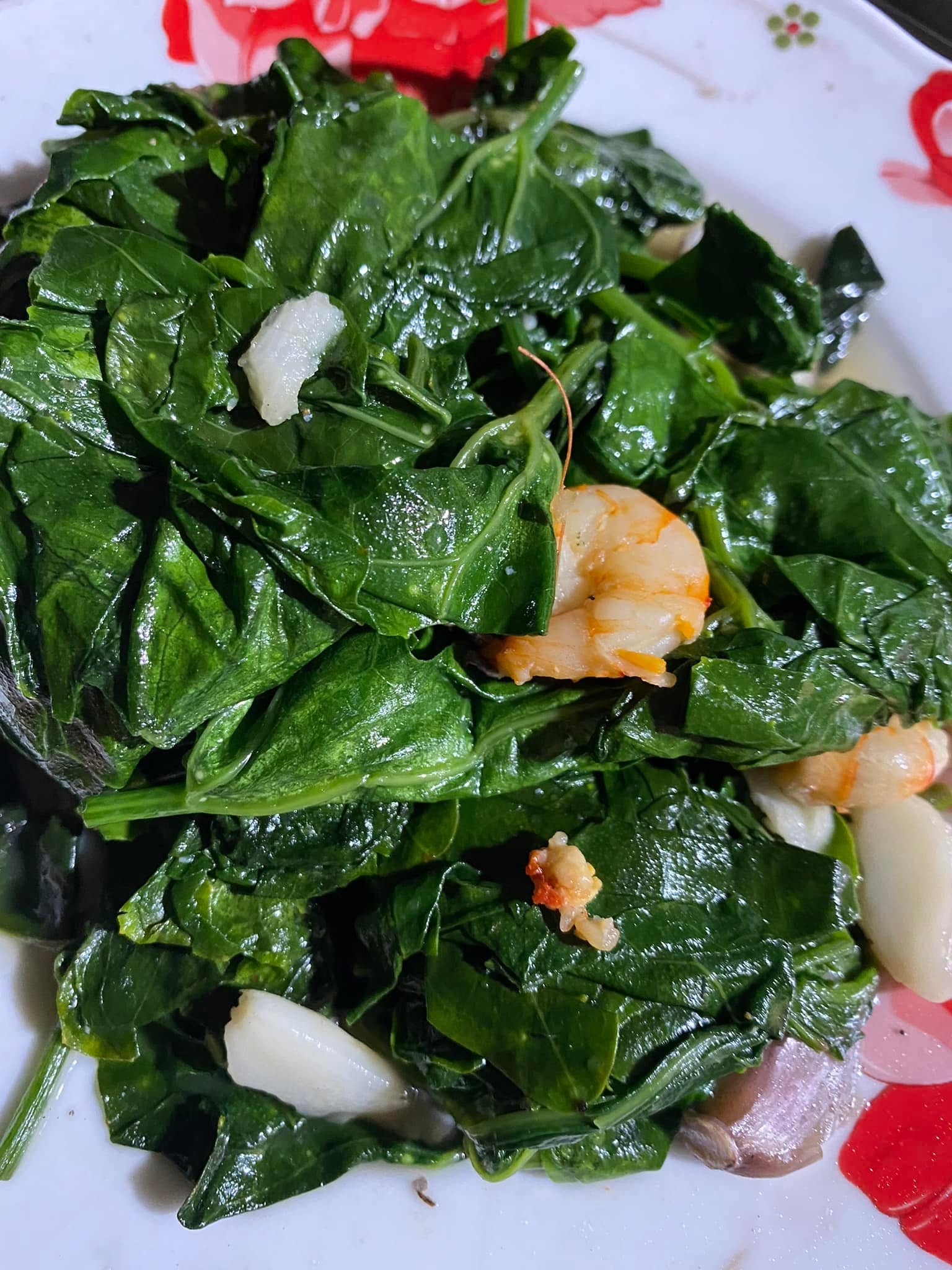Đọt non nấu canh, quả chín ăn vặt: Loài cây quê khiến người thành phố tò mò Đọt non nấu canh, quả chín ăn vặt: Loài cây quê khiến người thành phố tò mò