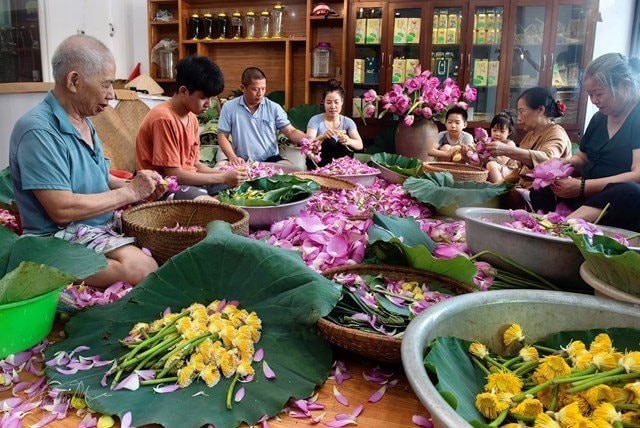 Đến Lễ hội Sen Hà Nội 2026: Ngắm hơn 30 giống sen, thưởng trà và trải nghiệm dệt tơ sen Đến Lễ hội Sen Hà Nội 2026: Ngắm hơn 30 giống sen, thưởng trà và trải nghiệm dệt tơ sen