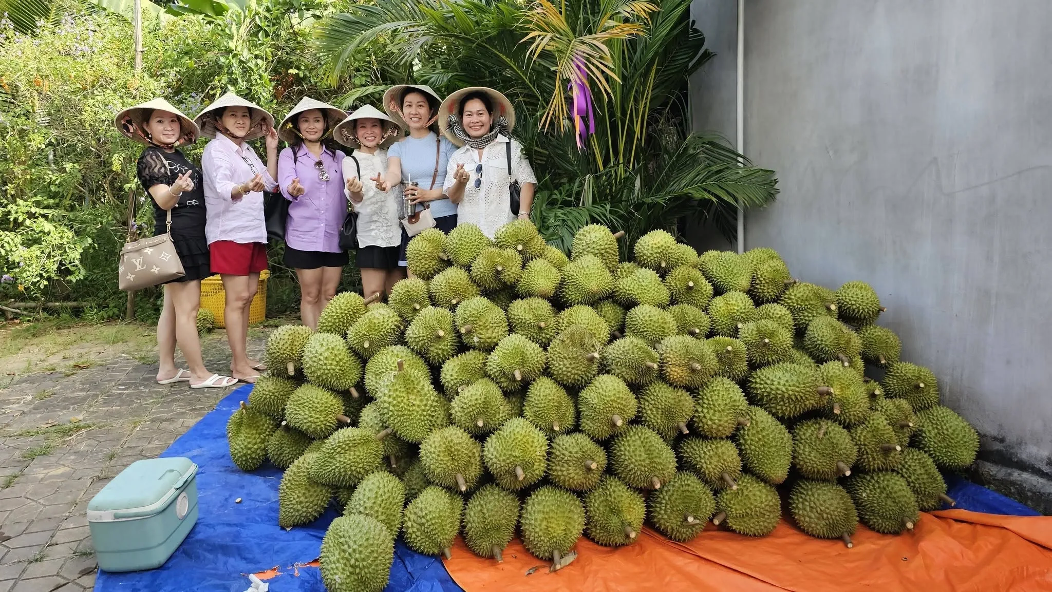 Cần Thơ: Không bán vé, chỉ bán trái cây nhưng khách vẫn ùn ùn kéo đến Cần Thơ: Không bán vé, chỉ bán trái cây nhưng khách vẫn ùn ùn kéo đến