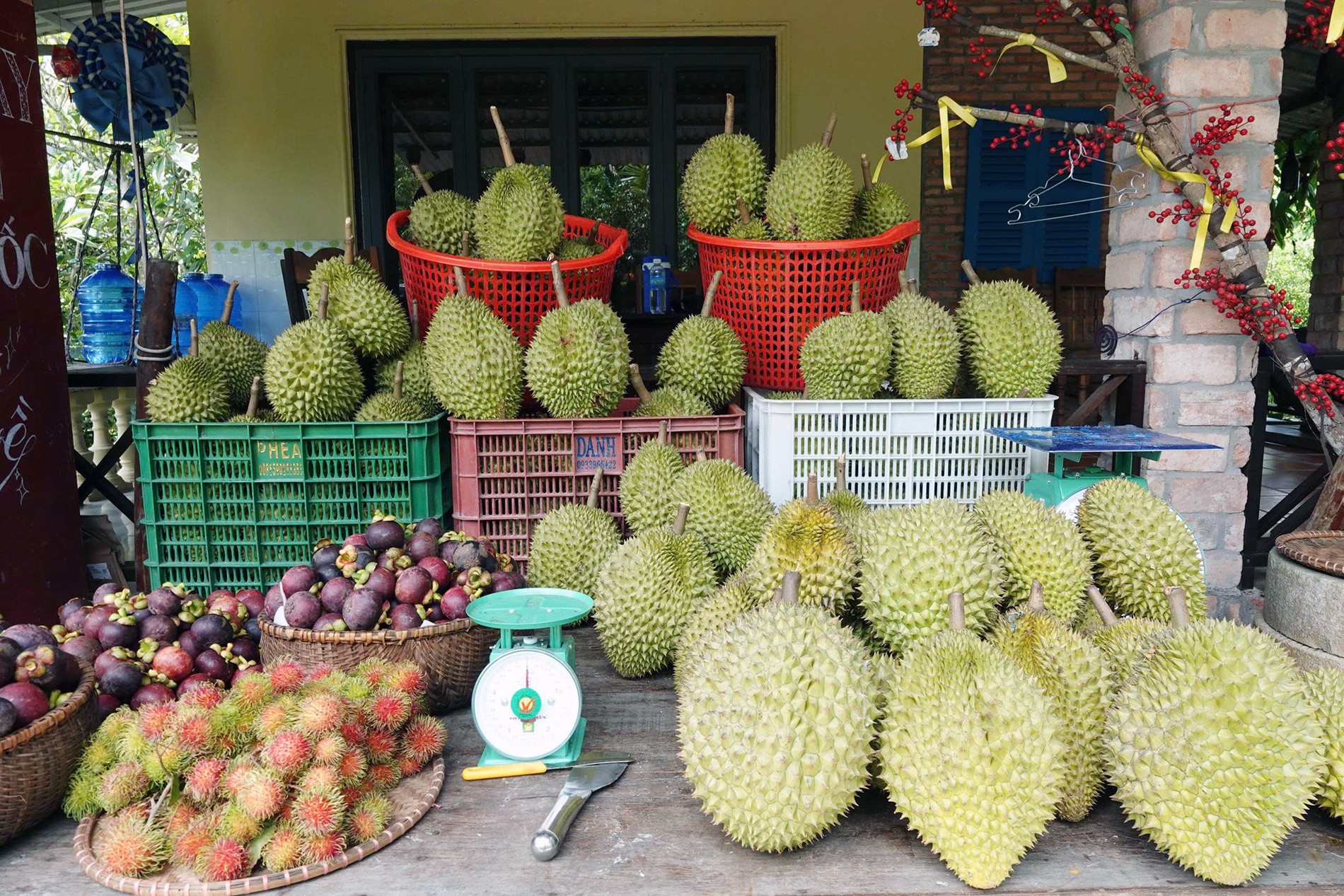 Cần Thơ: Không bán vé, chỉ bán trái cây nhưng khách vẫn ùn ùn kéo đến Cần Thơ: Không bán vé, chỉ bán trái cây nhưng khách vẫn ùn ùn kéo đến
