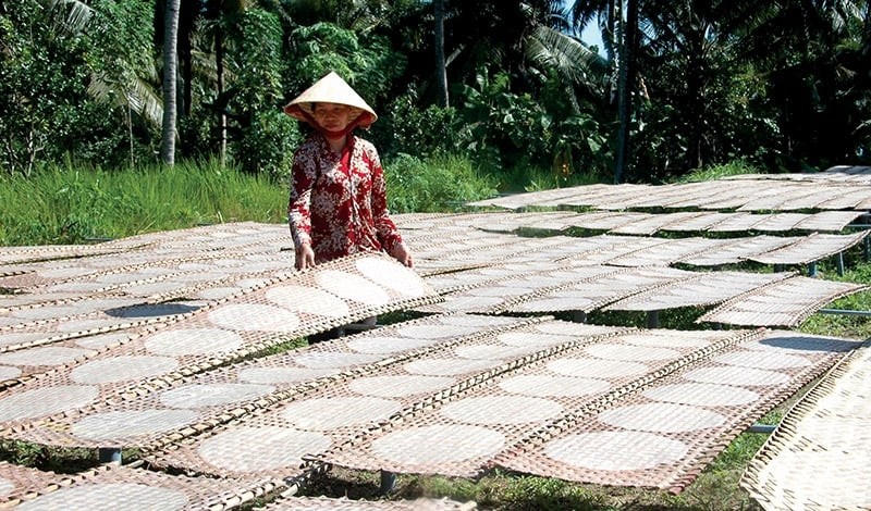 Bánh phồng Sơn Đốc: Khi làng nghề trăm tuổi học cách làm thương hiệu Bánh phồng Sơn Đốc: Khi làng nghề trăm tuổi học cách làm thương hiệu