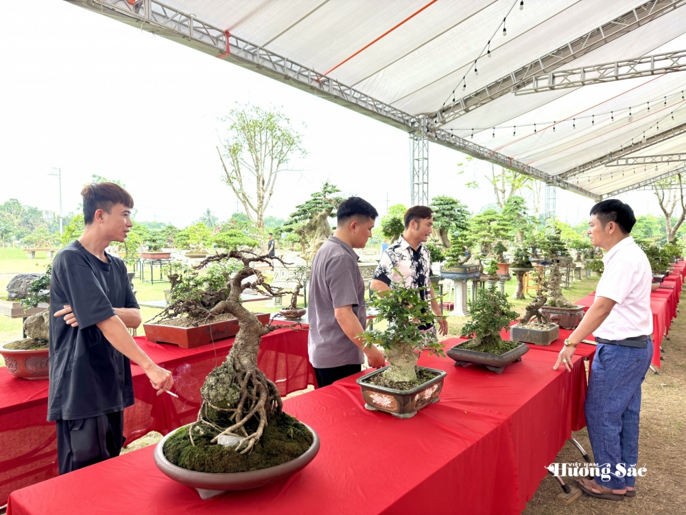 Hội SVC Tuyên Quang: Luồng sinh khí mới từ sự hợp nhất và tinh thần vì cộng đồng