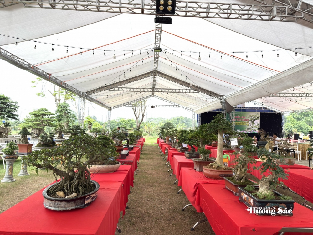 Hội SVC Tuyên Quang: Luồng sinh khí mới từ sự hợp nhất và tinh thần vì cộng đồng