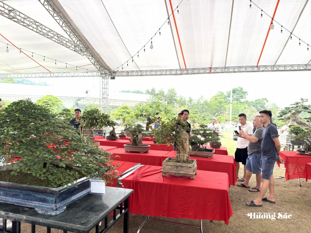 Hội SVC Tuyên Quang: Luồng sinh khí mới từ sự hợp nhất và tinh thần vì cộng đồng