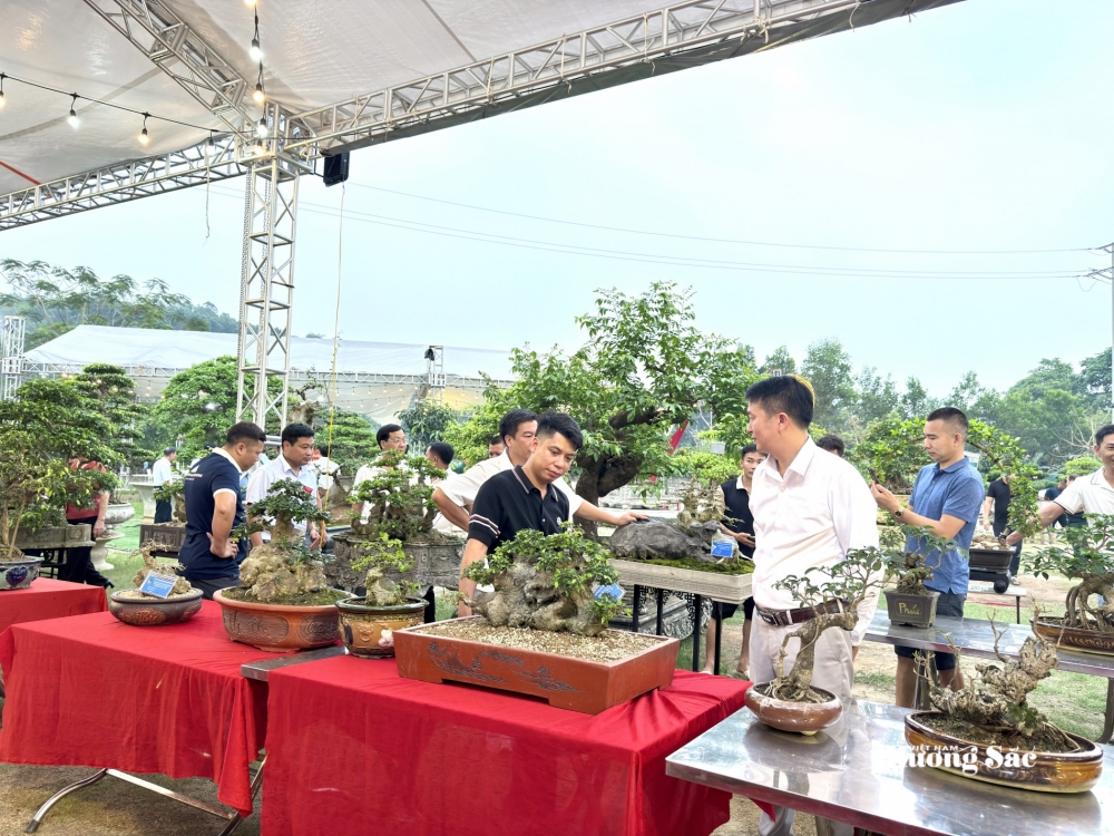 Hội SVC Tuyên Quang: Luồng sinh khí mới từ sự hợp nhất và tinh thần vì cộng đồng