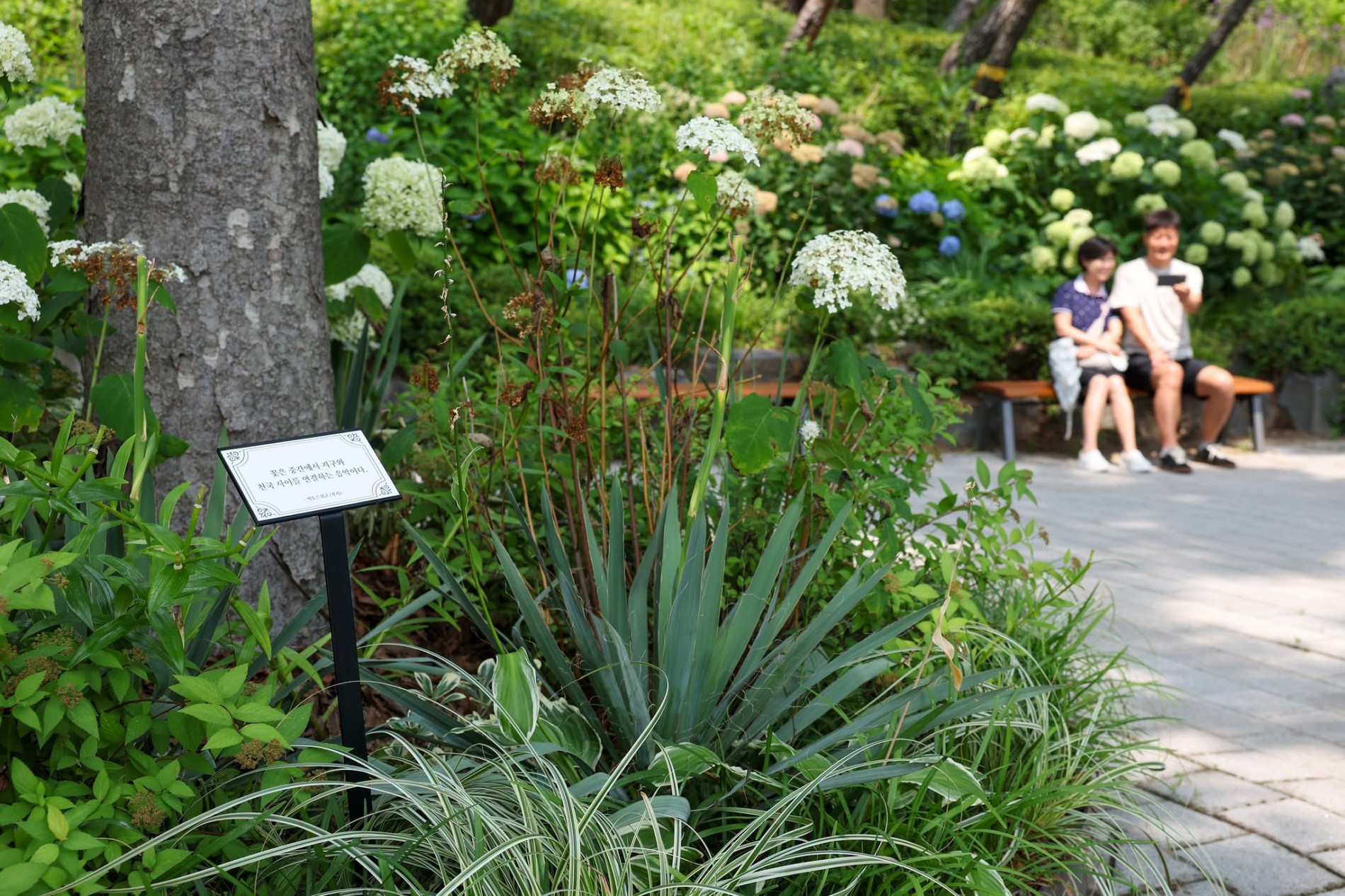 Vườn rừng Namsan – Thu nhỏ hệ sinh thái Hàn Quốc giữa lòng Seoul Vườn rừng Namsan – Thu nhỏ hệ sinh thái Hàn Quốc giữa lòng Seoul