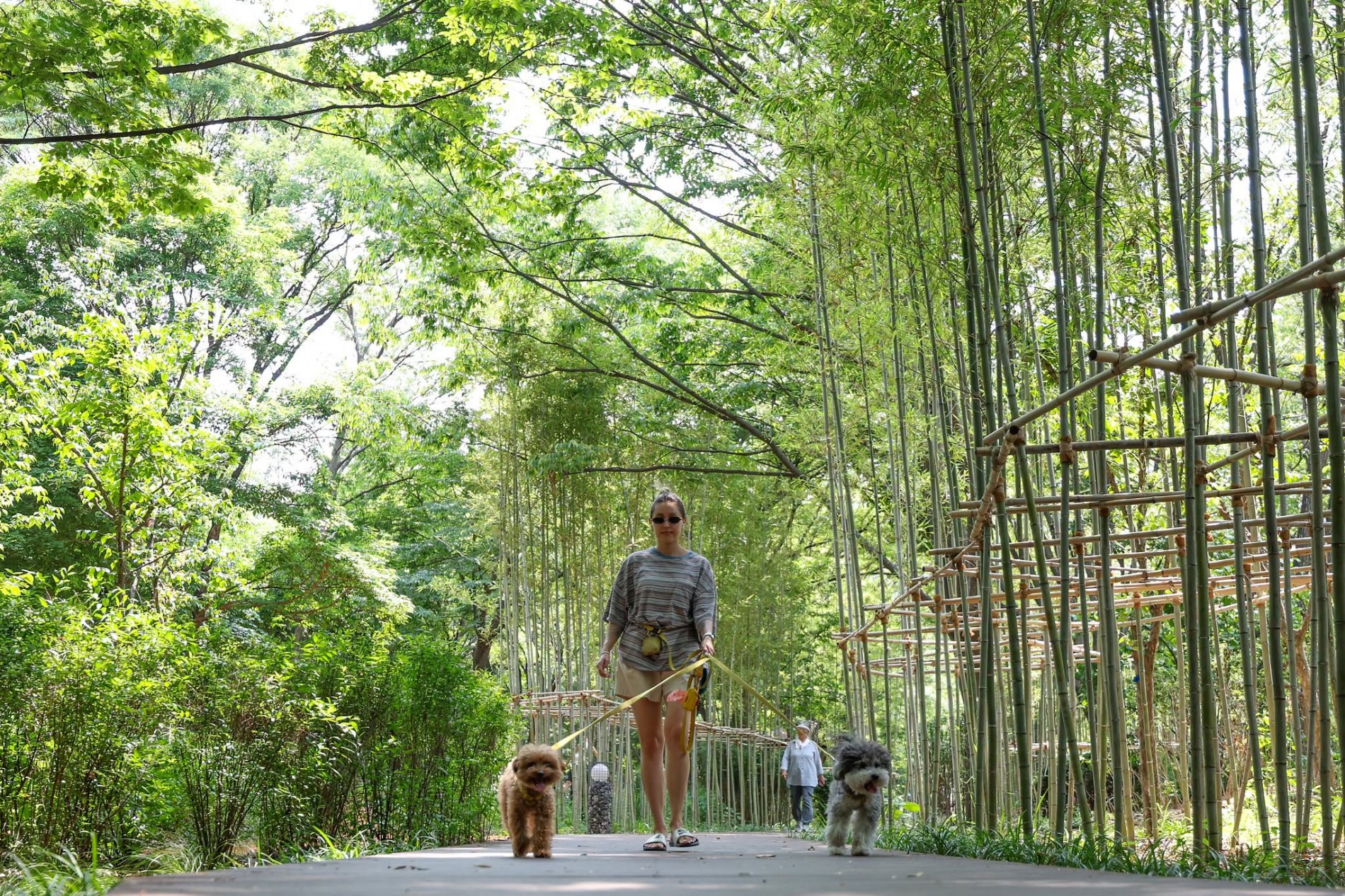 Vườn rừng Namsan – Thu nhỏ hệ sinh thái Hàn Quốc giữa lòng Seoul Vườn rừng Namsan – Thu nhỏ hệ sinh thái Hàn Quốc giữa lòng Seoul