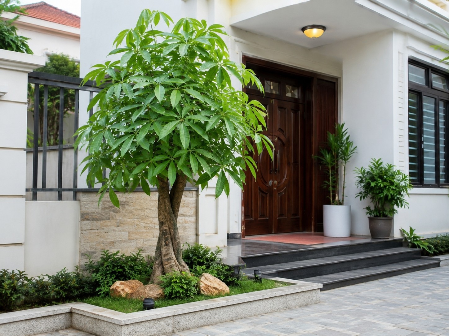 Người xưa khuyên nên trồng 5 loại cây trước sân, vừa đẹp nhà vừa mang ý nghĩa tốt lành