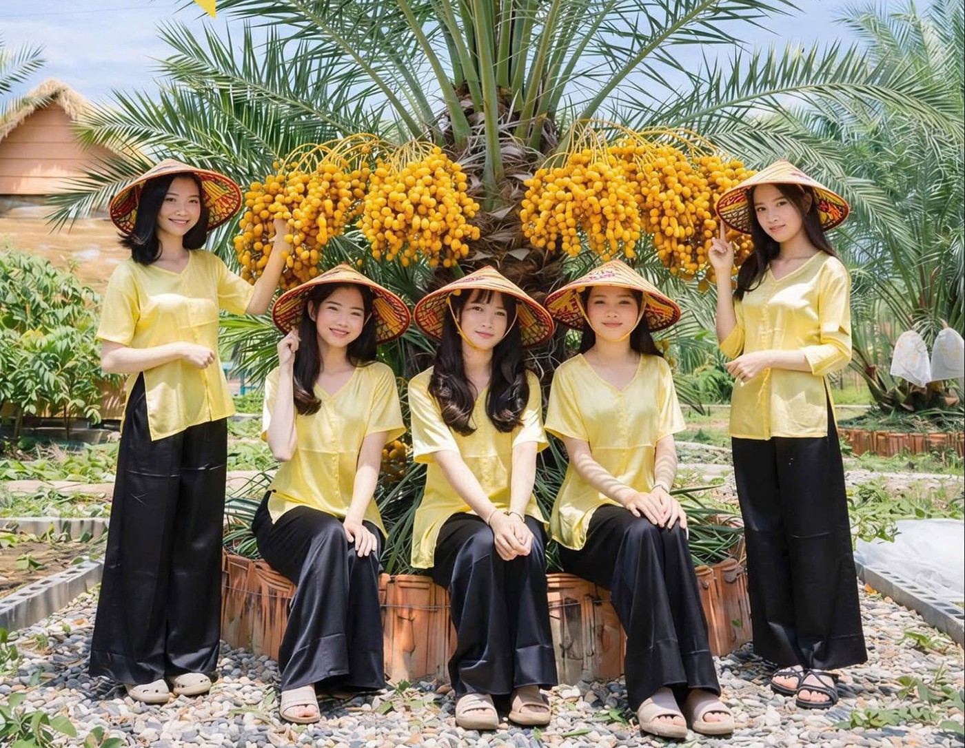 Vườn chà là độc đáo ở Đồng Tháp cho khách vào miễn phí, tự cắt trái mang về Vườn chà là độc đáo ở Đồng Tháp cho khách vào miễn phí, tự cắt trái mang về