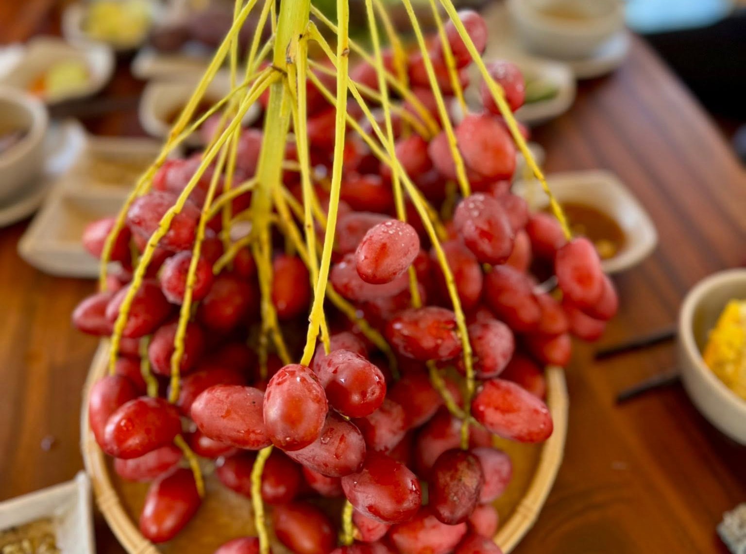 Vườn chà là độc đáo ở Đồng Tháp cho khách vào miễn phí, tự cắt trái mang về Vườn chà là độc đáo ở Đồng Tháp cho khách vào miễn phí, tự cắt trái mang về