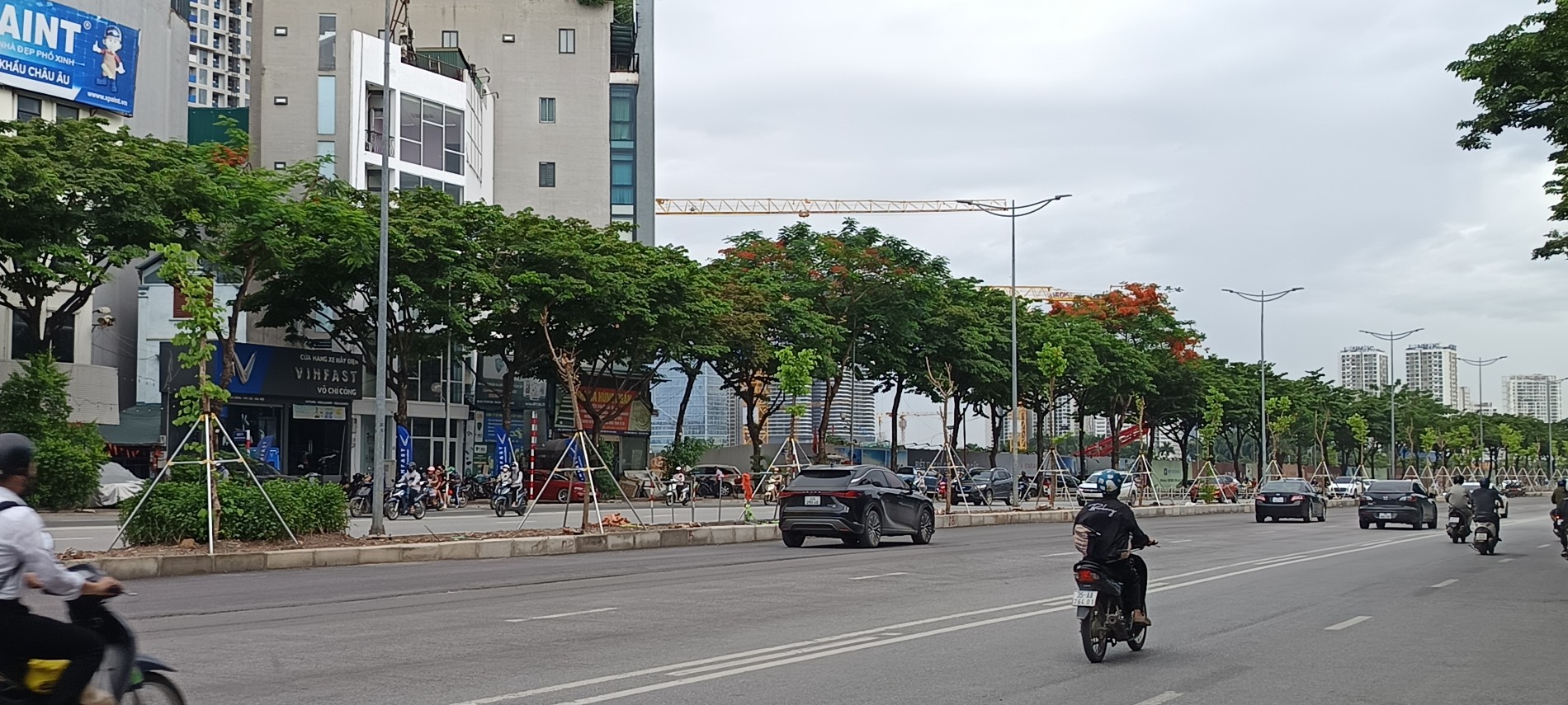 Hà Nội: Người dân phản ánh bất cập trong phương án trồng cây trên đường Võ Chí Công
