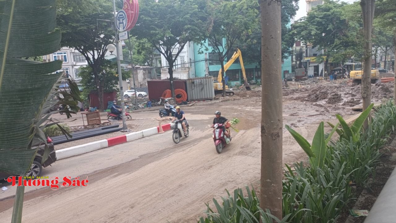 Hà Nội: Người dân phản ánh bất cập trong phương án trồng cây trên đường Võ Chí Công