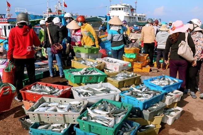 Phú Quý – Hòn đảo giữ nguyên nhịp thở của biển Phú Quý – Hòn đảo giữ nguyên nhịp thở của biển