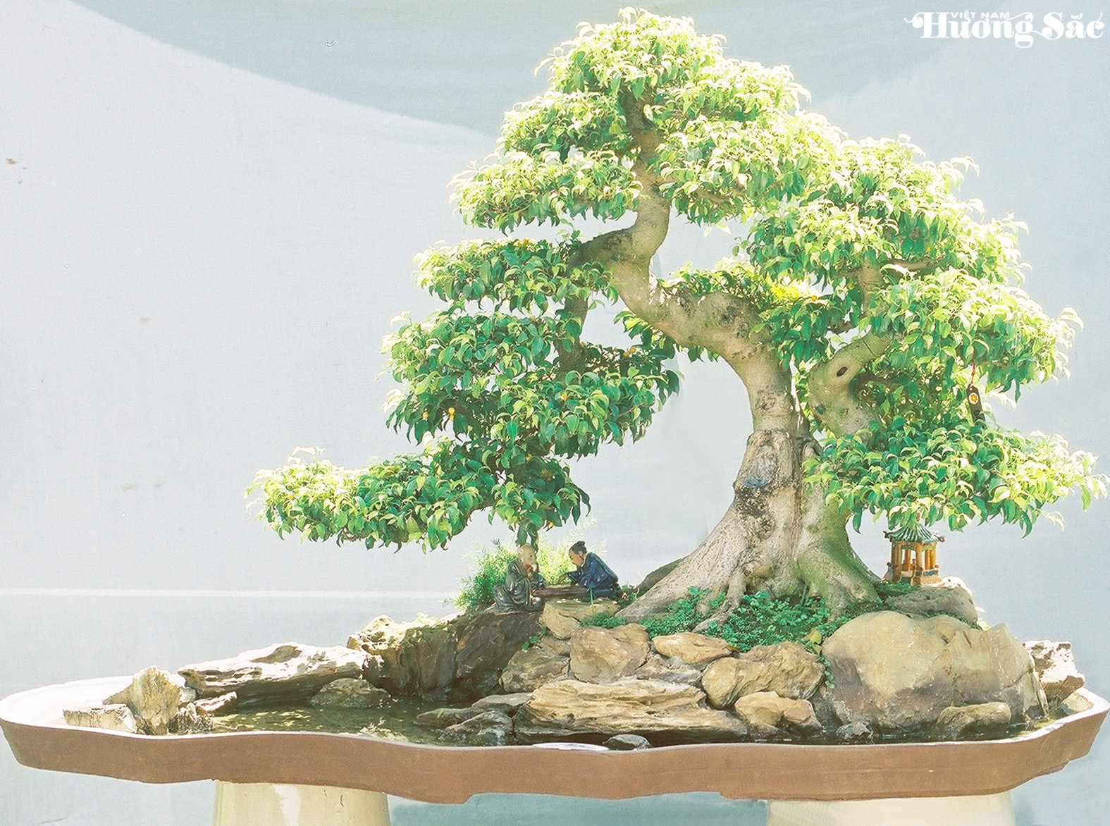 Chuyển thể bonsai thành tiểu cảnh: cuộc kiến tạo nghệ thuật Chuyển thể bonsai thành tiểu cảnh: cuộc kiến tạo nghệ thuật