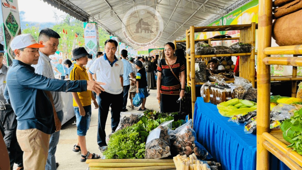 Đà Nẵng mở chợ sâm Ngọc Linh hằng tháng gần cầu Rồng, quảng bá quốc bảo giữa trung tâm thành phố Đà Nẵng mở chợ sâm Ngọc Linh hằng tháng gần cầu Rồng, quảng bá quốc bảo giữa trung tâm thành phố