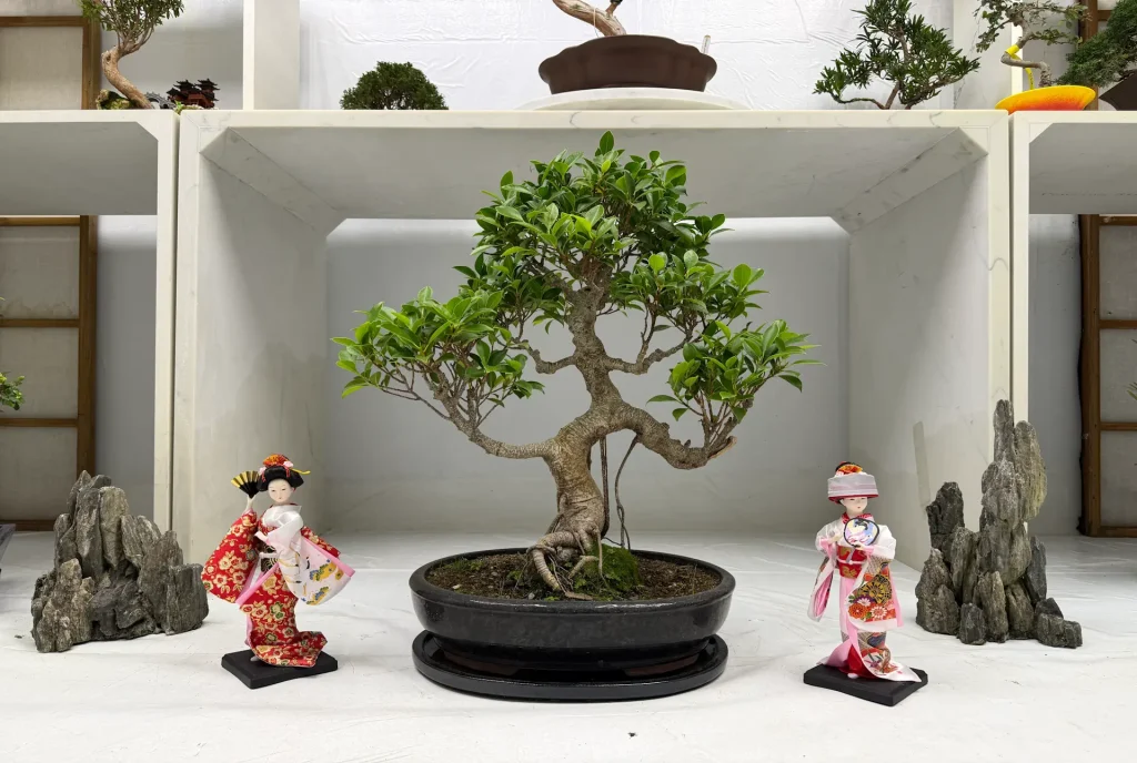 Tượng trang trí bonsai: Nét chấm phá tạo nên linh hồn cho tiểu cảnh Tượng trang trí bonsai: Nét chấm phá tạo nên linh hồn cho tiểu cảnh