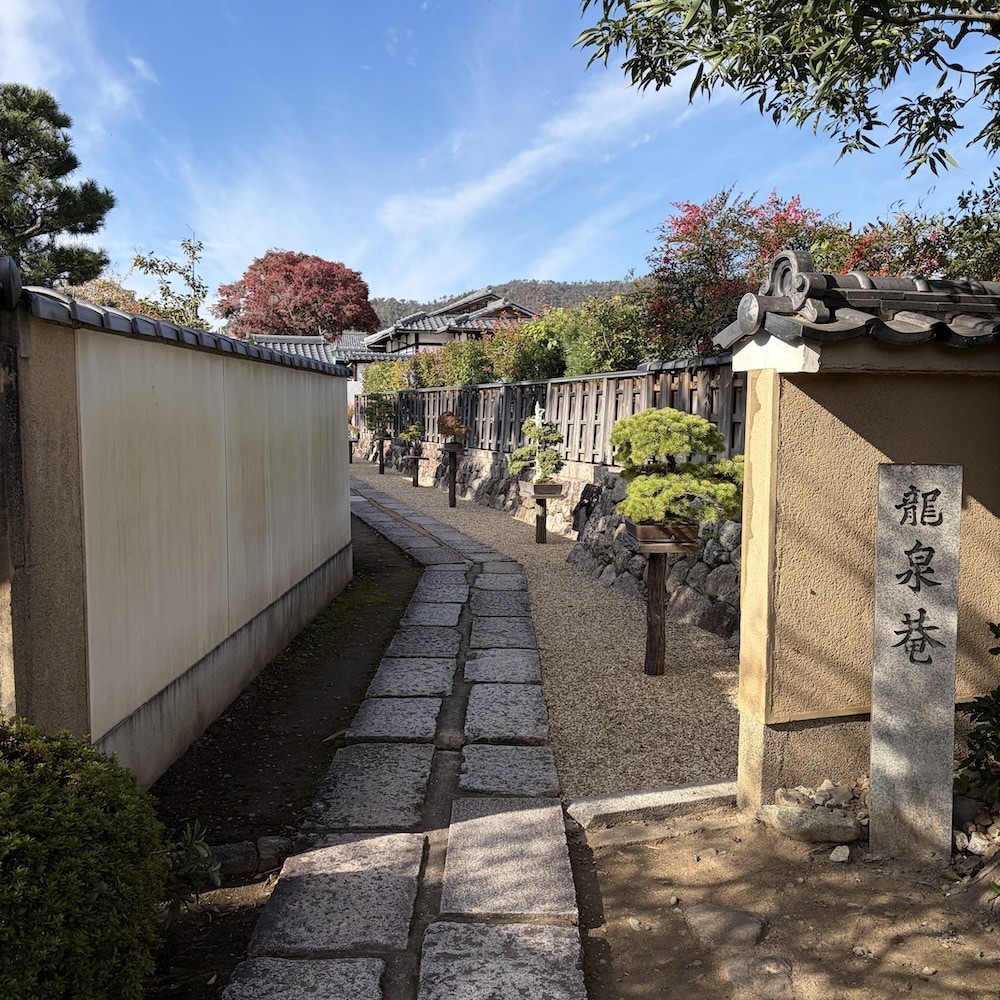 Vườn Bonsai Hoshun-in – Không gian bonsai giữa lòng cố đô Kyoto