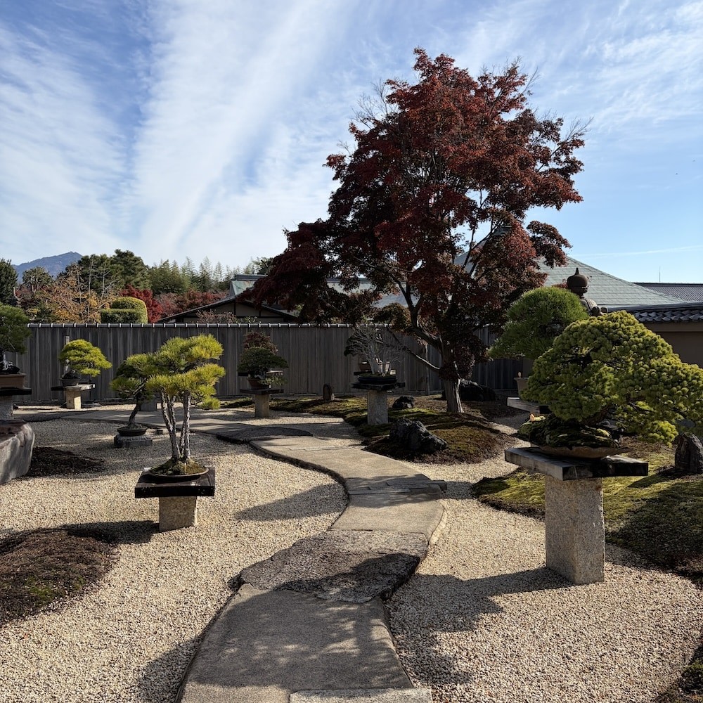 Vườn Bonsai Hoshun-in – Không gian bonsai giữa lòng cố đô Kyoto