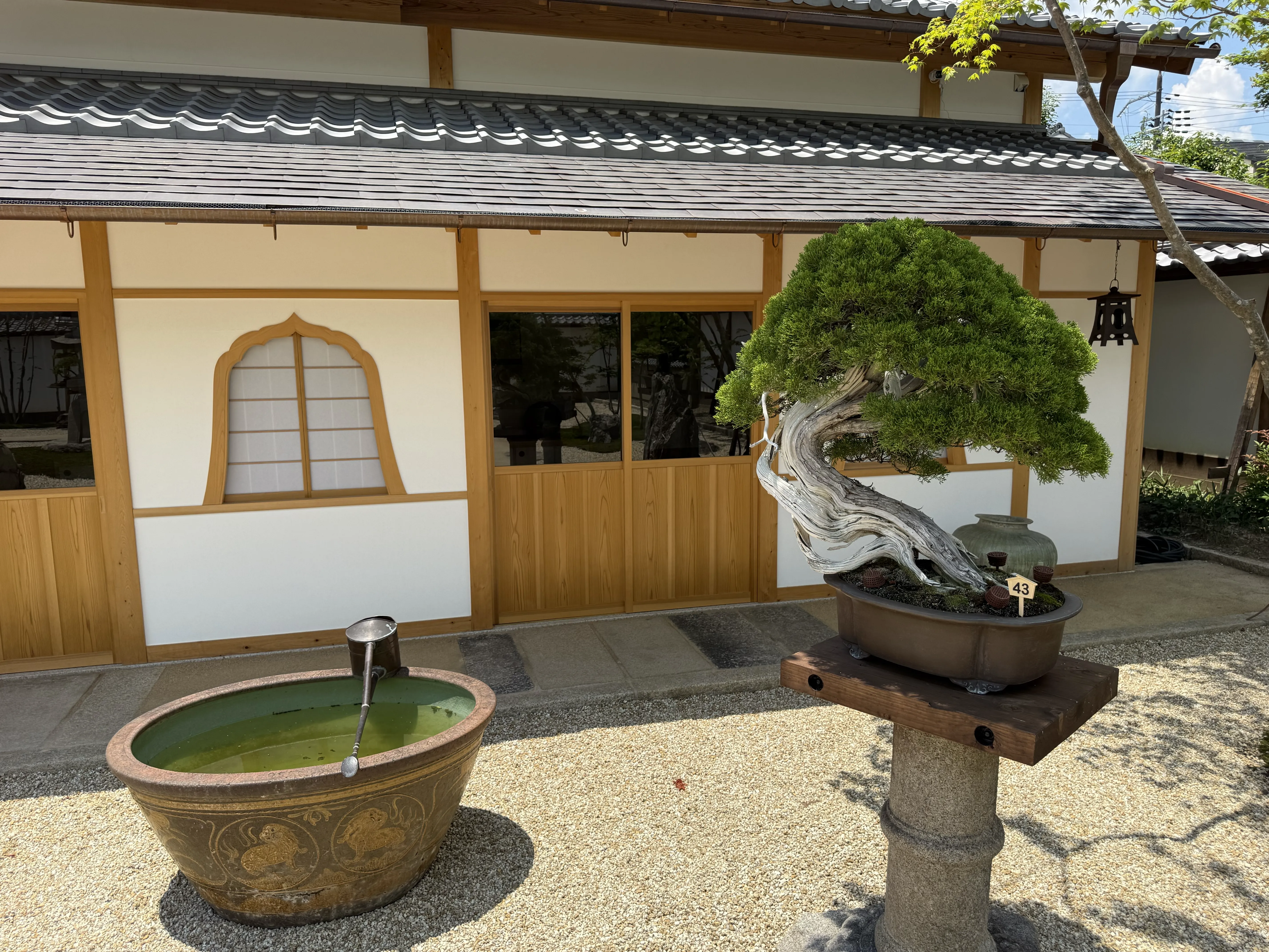 Vườn Bonsai Hoshun-in – Không gian bonsai giữa lòng cố đô Kyoto