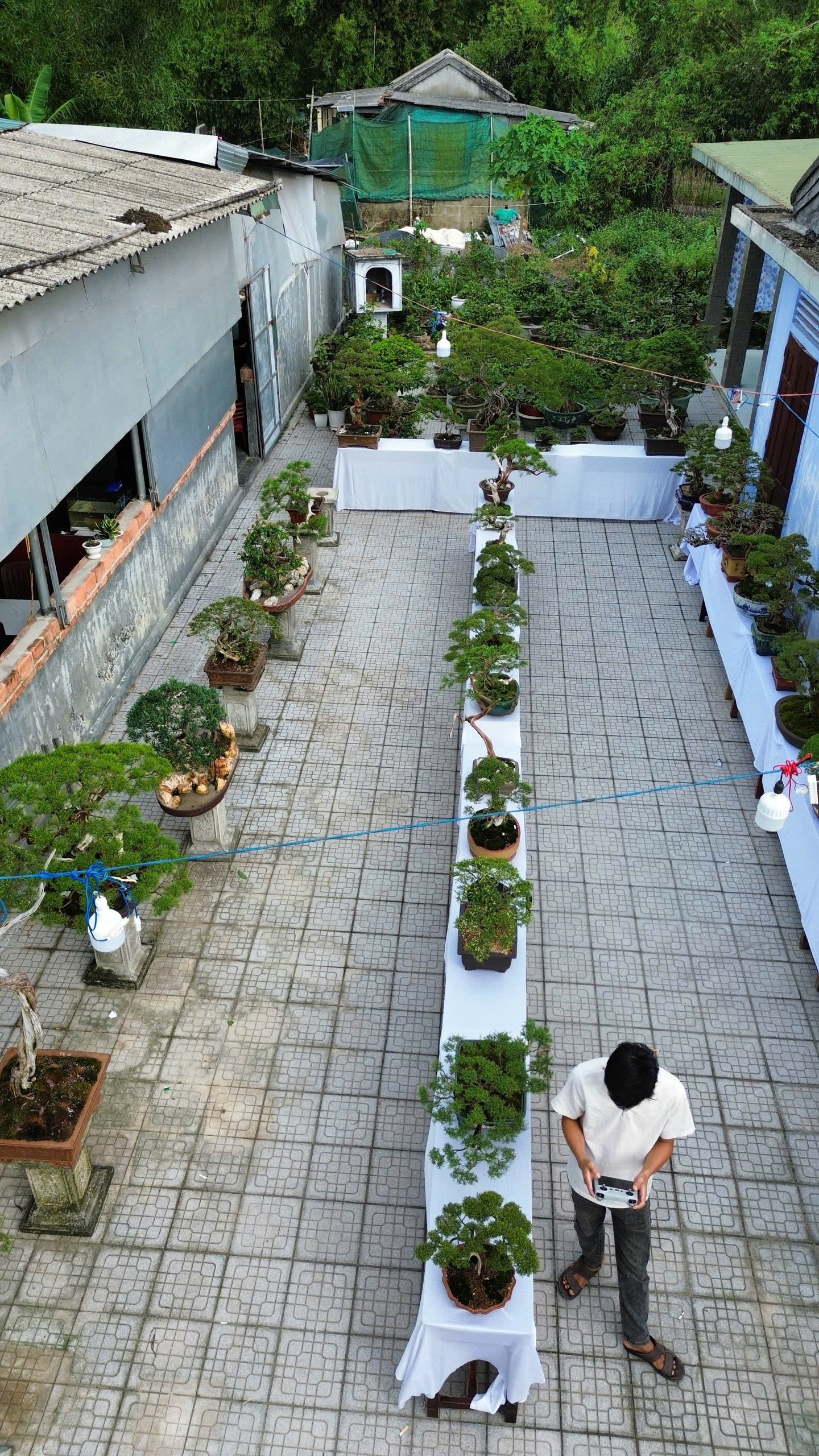 Những người gìn giữ vẻ đẹp của thời gian qua từng dáng Kim Sa Tùng Những người gìn giữ vẻ đẹp của thời gian qua từng dáng Kim Sa Tùng