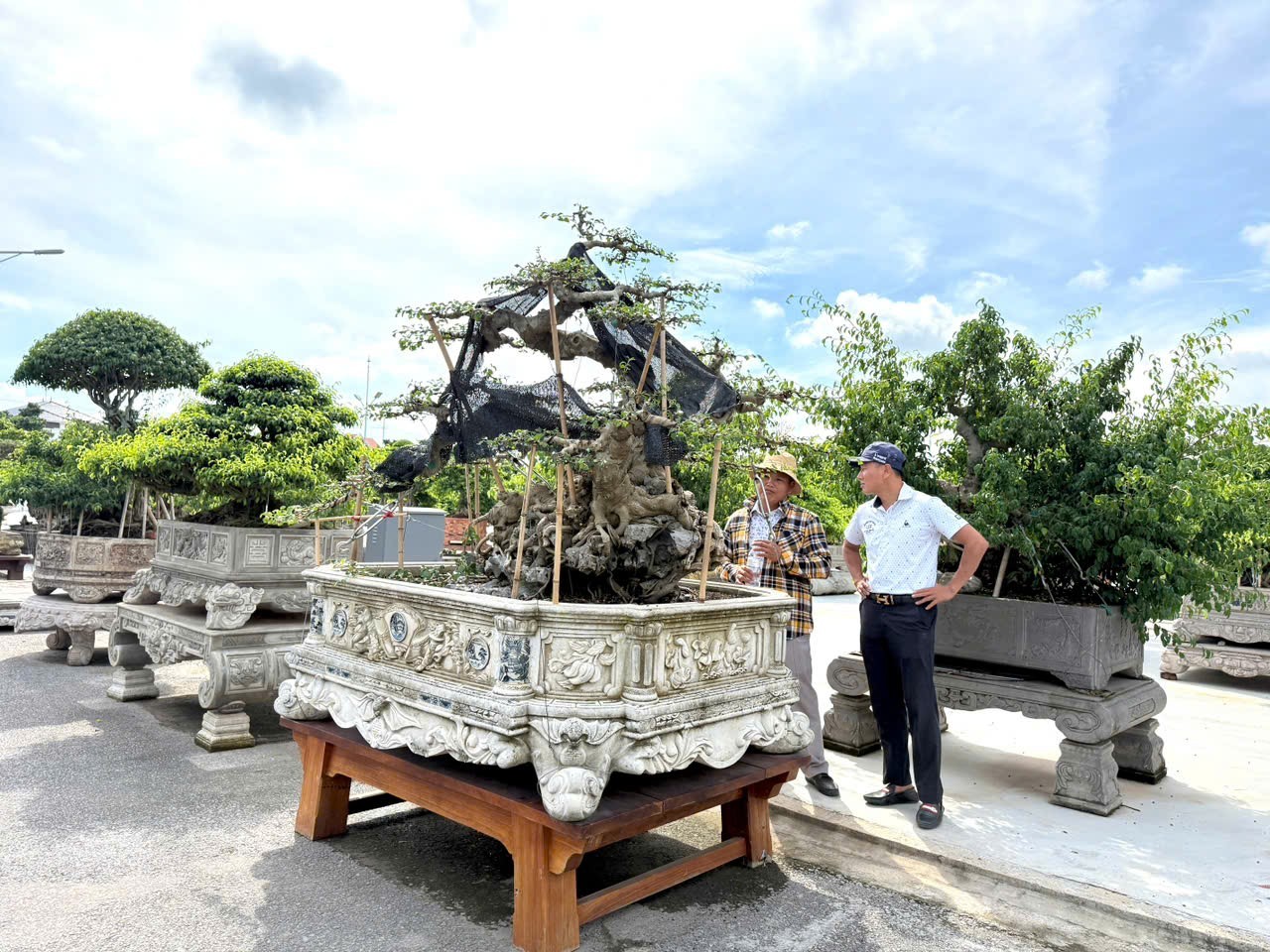 Hưng Yên: Hơn 200 người yêu cây cảnh hội ngộ, kết nối đam mê bonsai