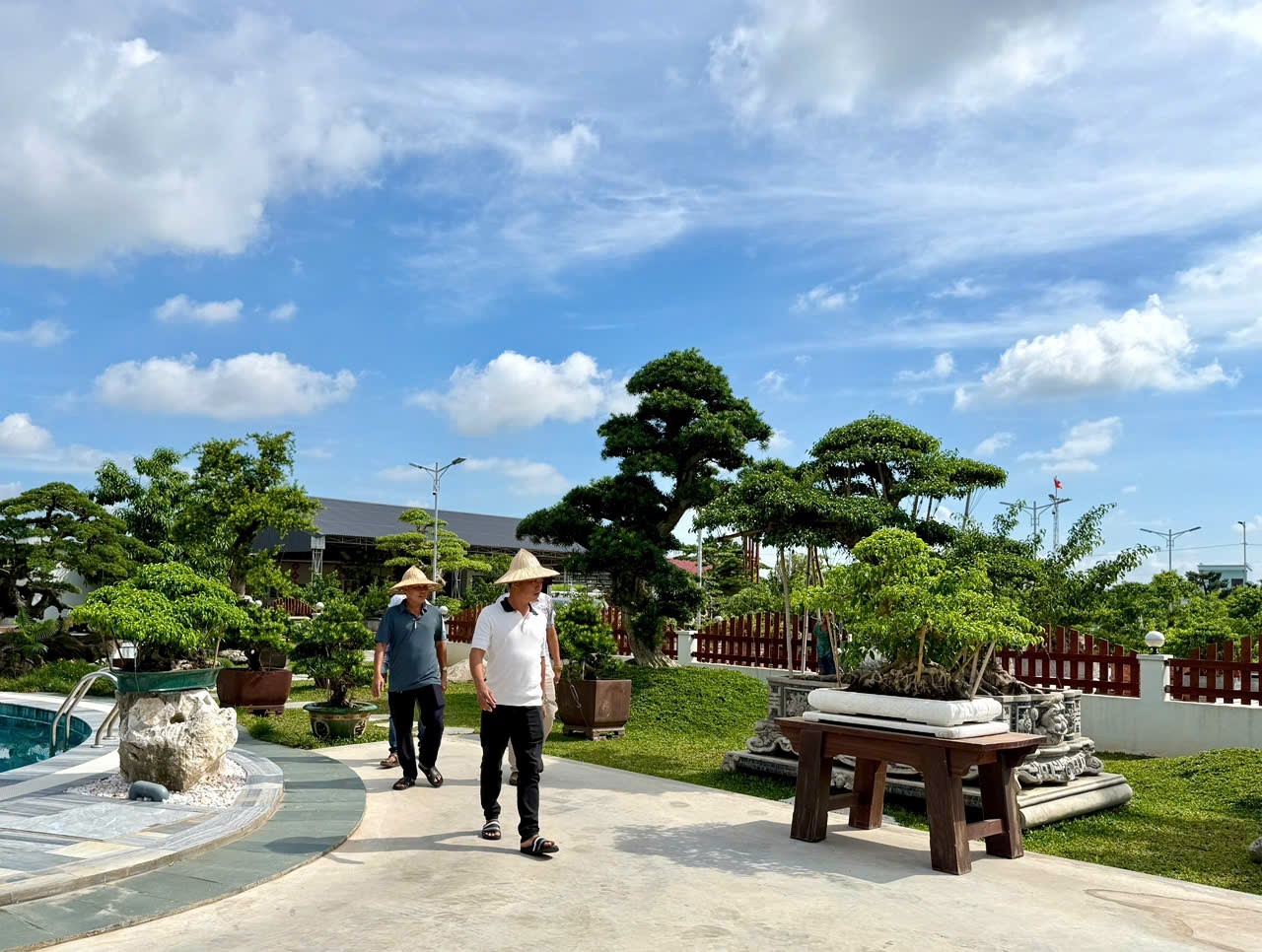 Hưng Yên: Hơn 200 người yêu cây cảnh hội ngộ, kết nối đam mê bonsai