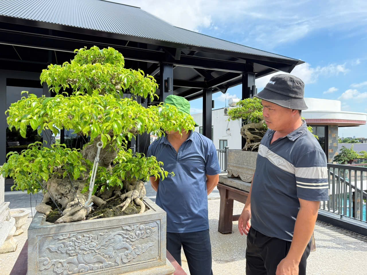 Hưng Yên: Hơn 200 người yêu cây cảnh hội ngộ, kết nối đam mê bonsai