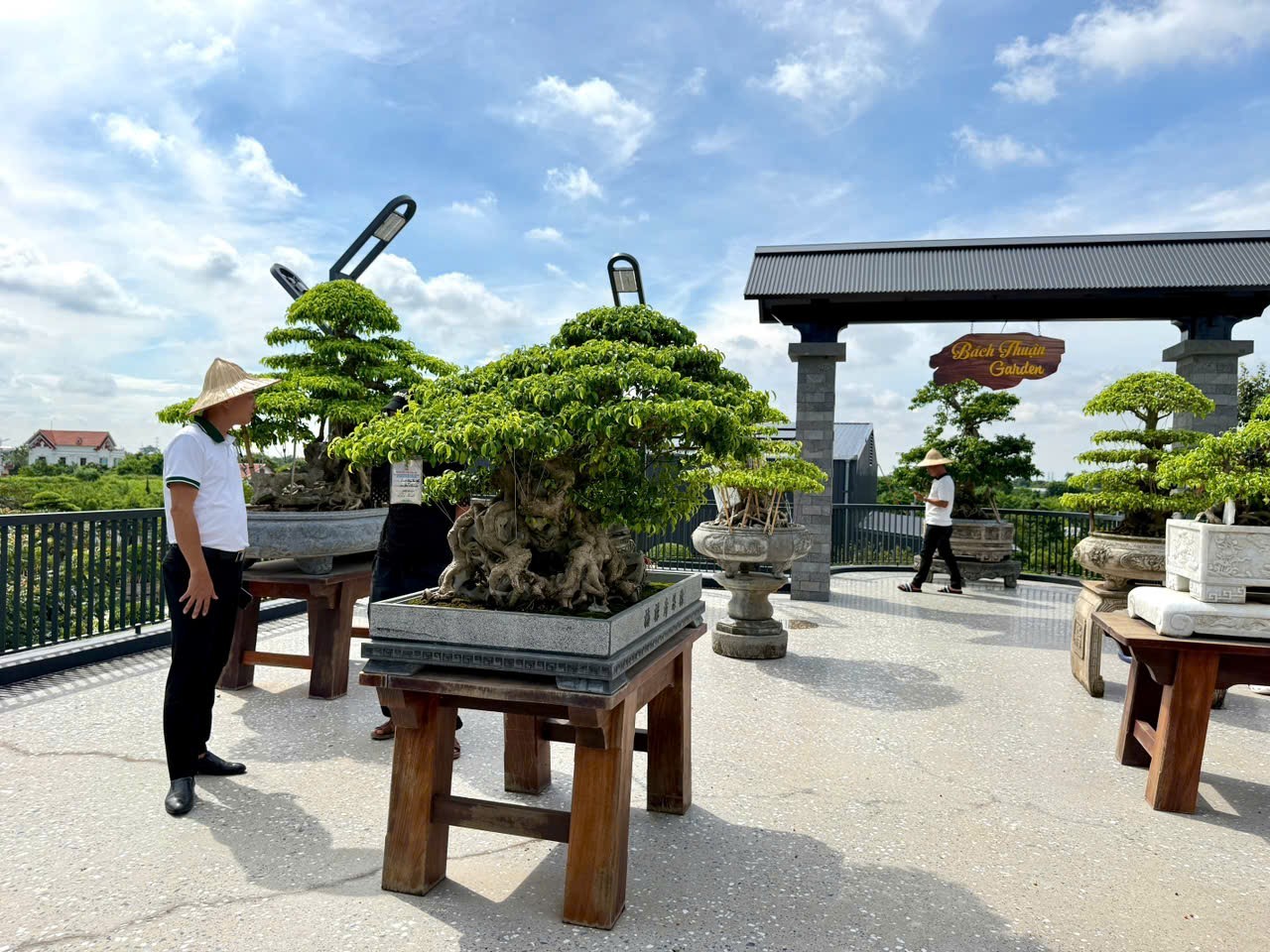 Hưng Yên: Hơn 200 người yêu cây cảnh hội ngộ, kết nối đam mê bonsai