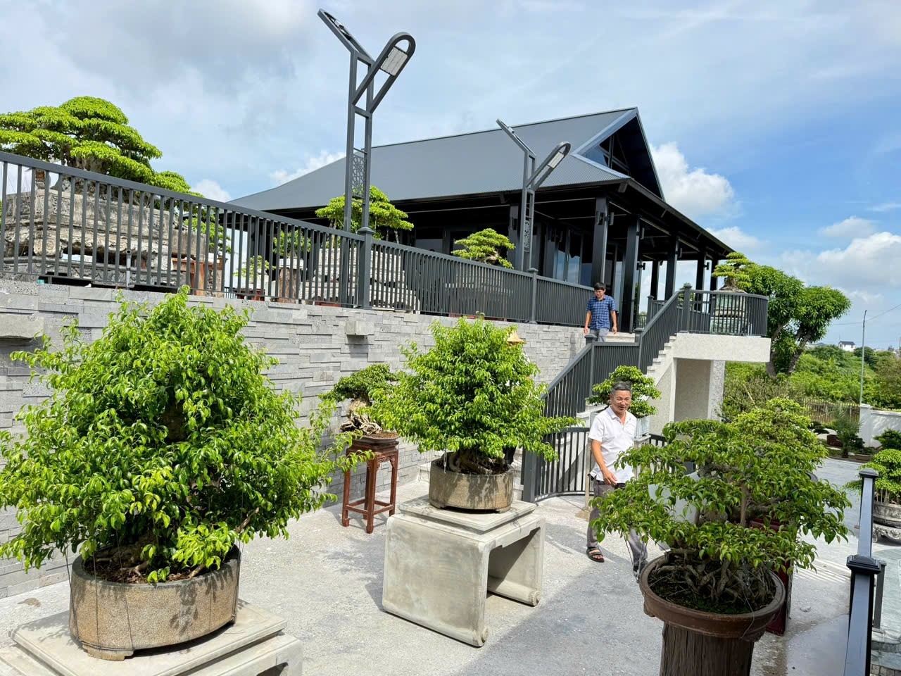 Hưng Yên: Hơn 200 người yêu cây cảnh hội ngộ, kết nối đam mê bonsai