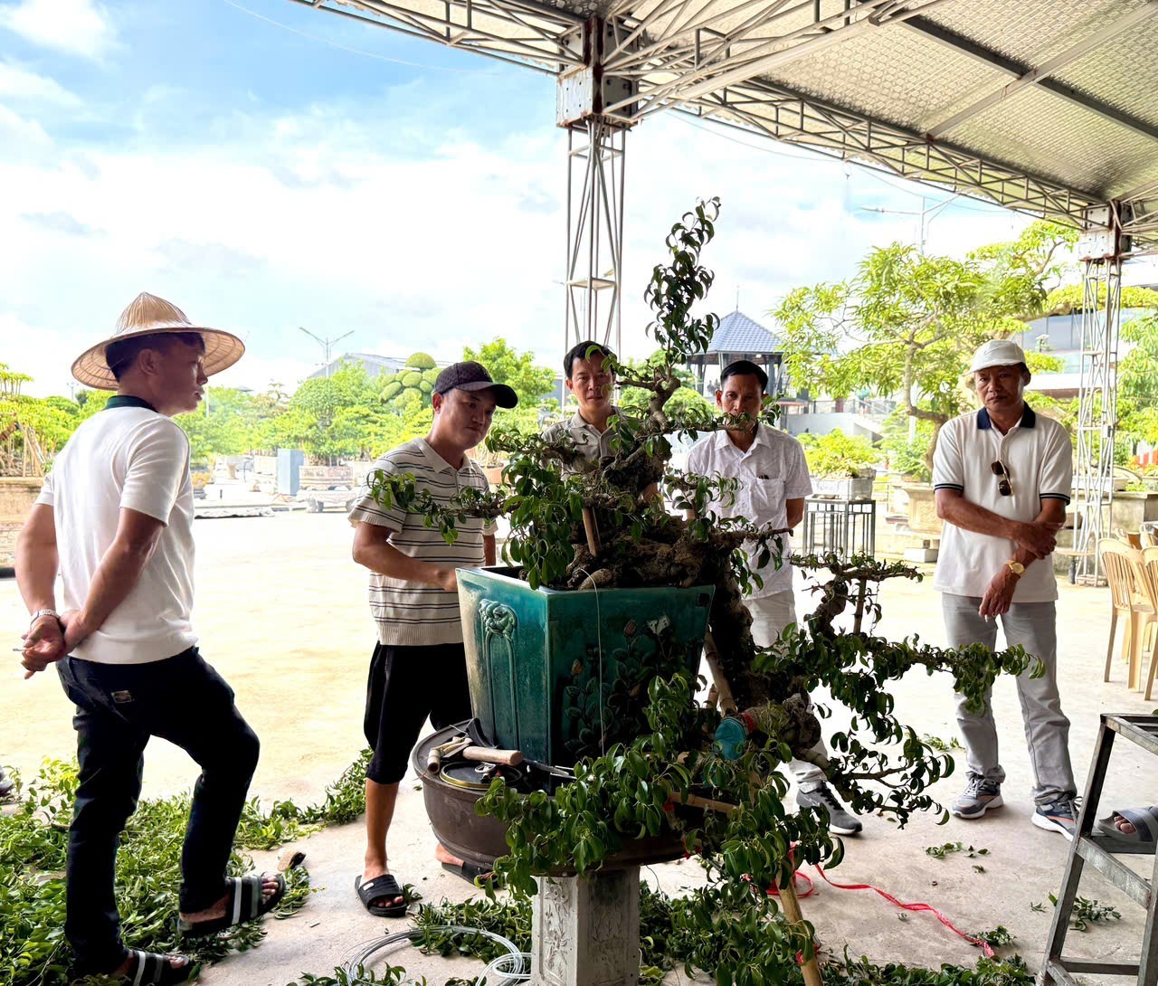 Hưng Yên: Hơn 200 người yêu cây cảnh hội ngộ, kết nối đam mê bonsai