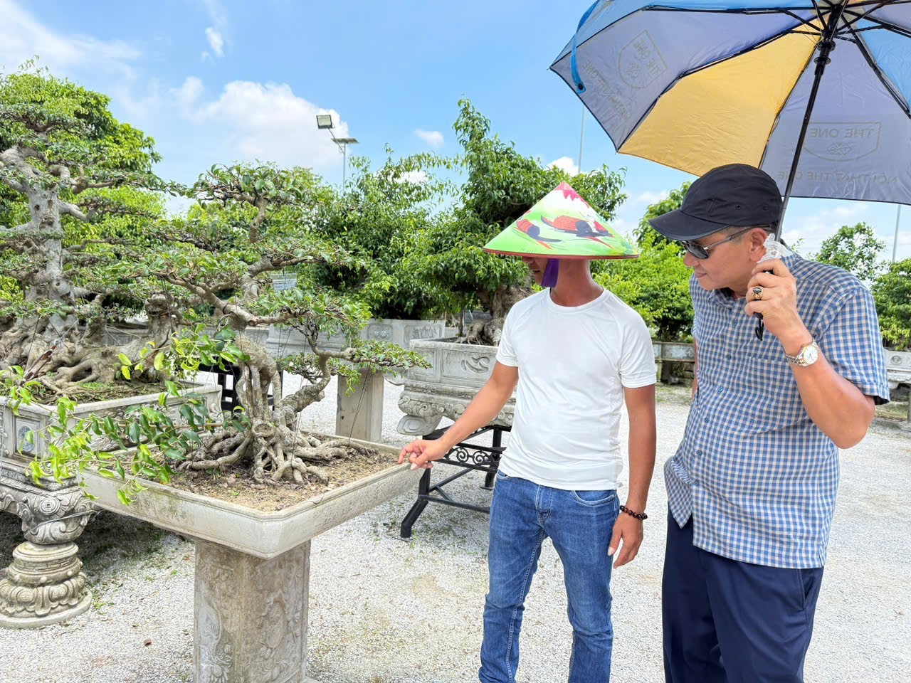 Hưng Yên: Hơn 200 người yêu cây cảnh hội ngộ, kết nối đam mê bonsai