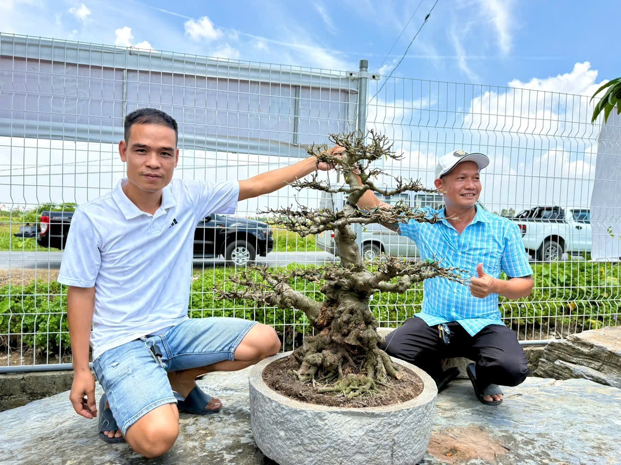 Hưng Yên: Hơn 200 người yêu cây cảnh hội ngộ, kết nối đam mê bonsai