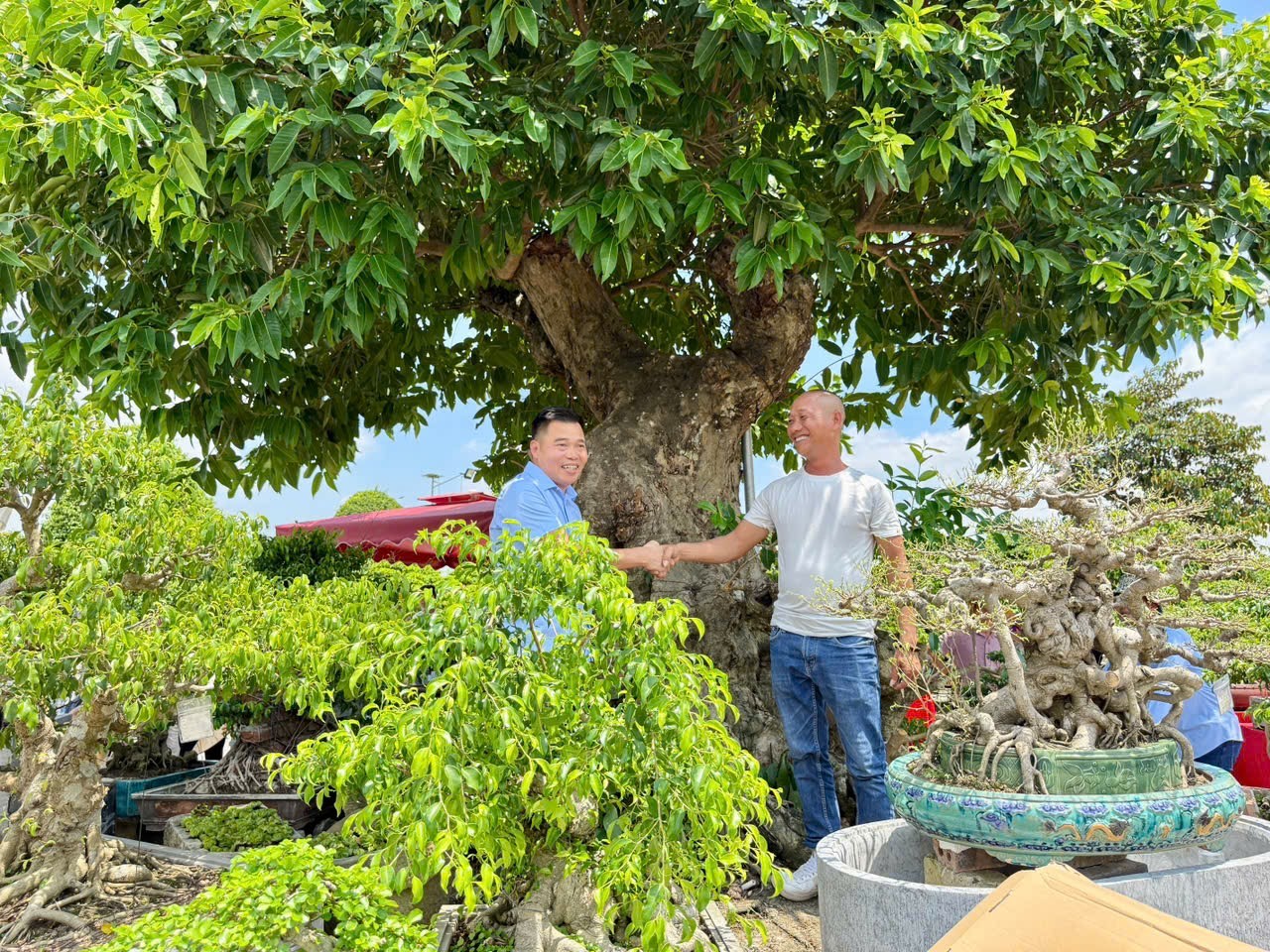 Hưng Yên: Hơn 200 người yêu cây cảnh hội ngộ, kết nối đam mê bonsai