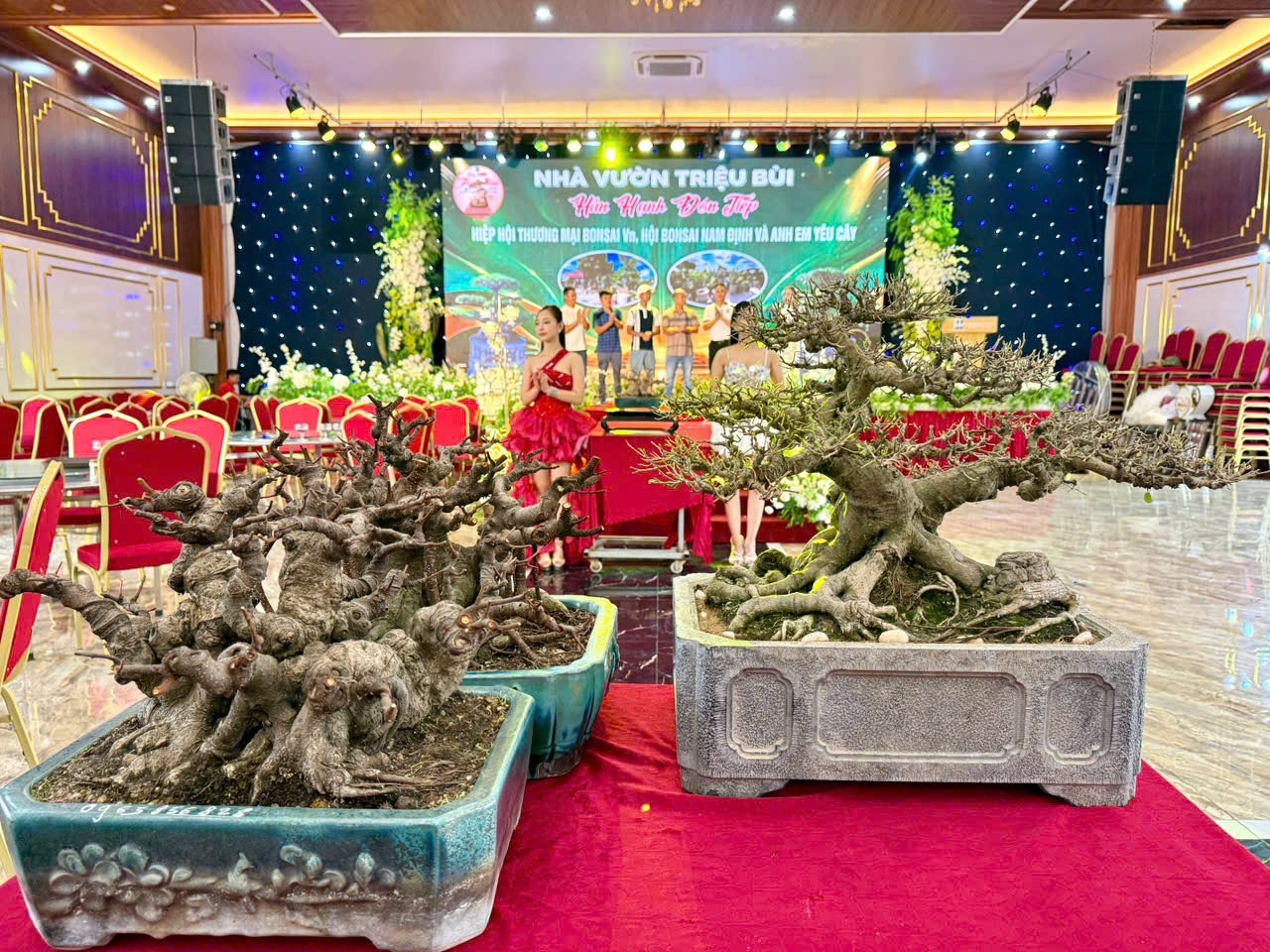 Hưng Yên: Hơn 200 người yêu cây cảnh hội ngộ, kết nối đam mê bonsai