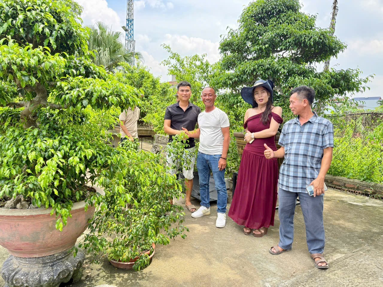 Hưng Yên: Hơn 200 người yêu cây cảnh hội ngộ, kết nối đam mê bonsai