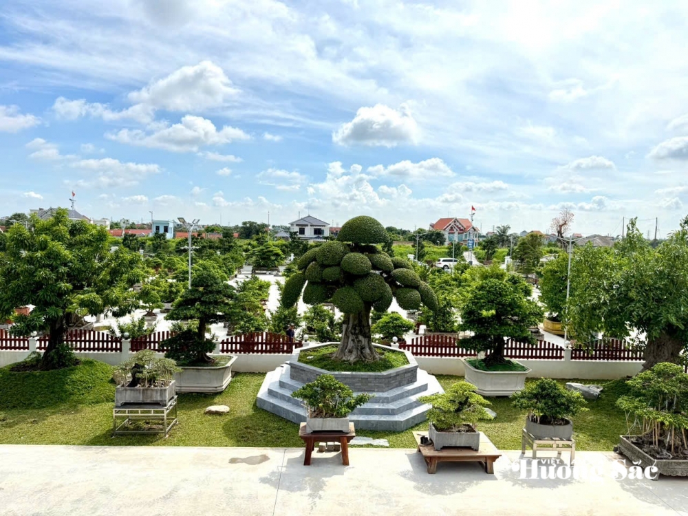 Hưng Yên: Hơn 200 người yêu cây cảnh hội ngộ, kết nối đam mê bonsai Hưng Yên: Hơn 200 người yêu cây cảnh hội ngộ, kết nối đam mê bonsai
