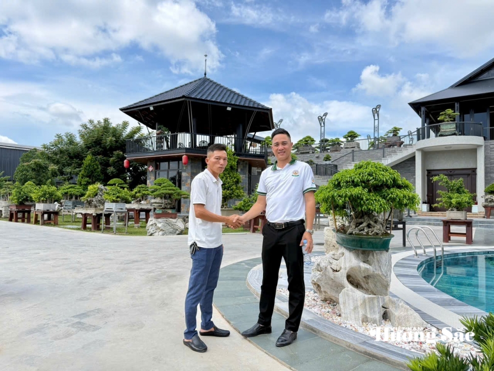 Hưng Yên: Hơn 200 người yêu cây cảnh hội ngộ, kết nối đam mê bonsai Hưng Yên: Hơn 200 người yêu cây cảnh hội ngộ, kết nối đam mê bonsai