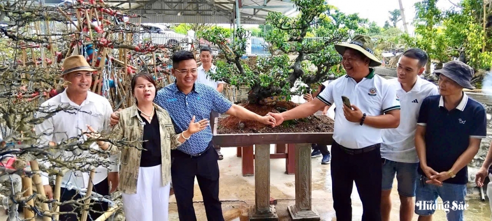 Hưng Yên: Hơn 200 người yêu cây cảnh hội ngộ, kết nối đam mê bonsai Hưng Yên: Hơn 200 người yêu cây cảnh hội ngộ, kết nối đam mê bonsai