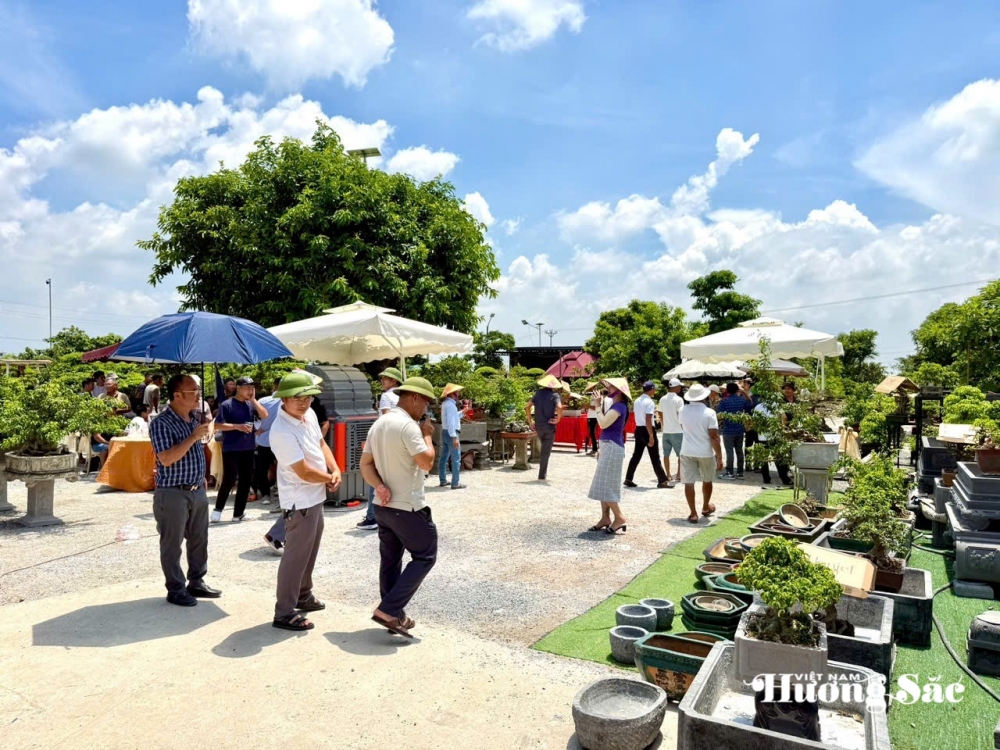 Hưng Yên: Hơn 200 người yêu cây cảnh hội ngộ, kết nối đam mê bonsai Hưng Yên: Hơn 200 người yêu cây cảnh hội ngộ, kết nối đam mê bonsai