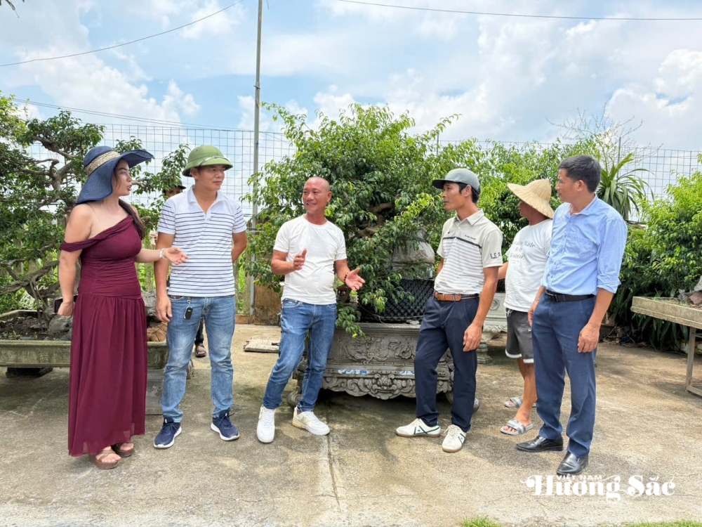 Hưng Yên: Hơn 200 người yêu cây cảnh hội ngộ, kết nối đam mê bonsai Hưng Yên: Hơn 200 người yêu cây cảnh hội ngộ, kết nối đam mê bonsai