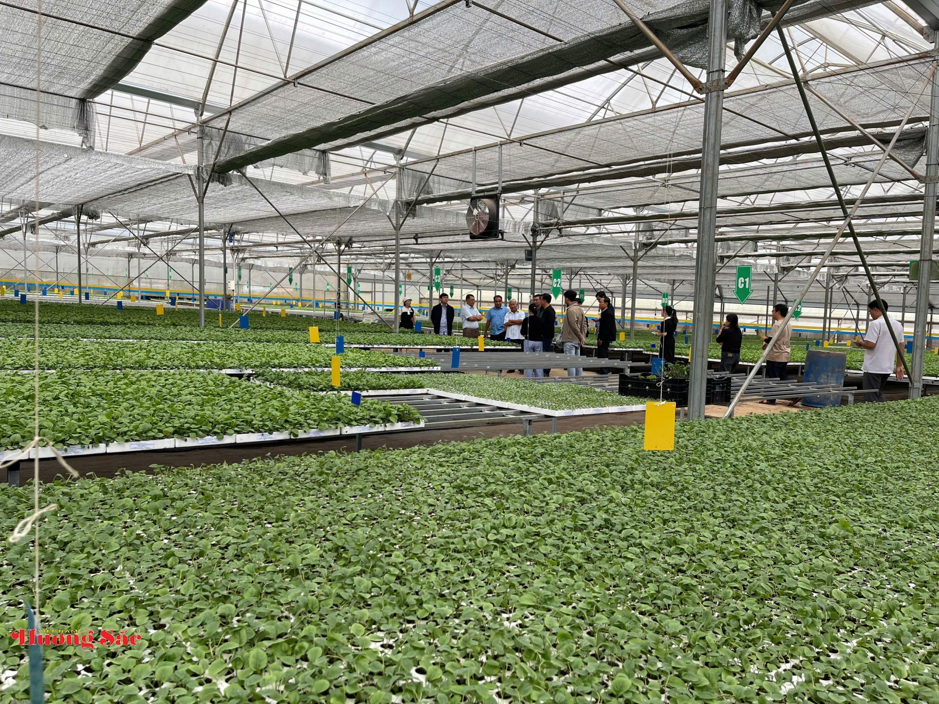 Hàng loạt cơ chế hỗ trợ mới cho dự án đầu tư nông nghiệp công nghệ cao Hàng loạt cơ chế hỗ trợ mới cho dự án đầu tư nông nghiệp công nghệ cao