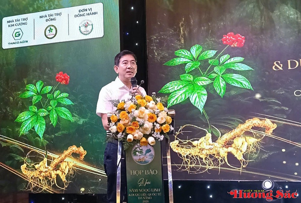 Bảo tồn, phát triển, trải nghiệm Sâm Ngọc Linh -
