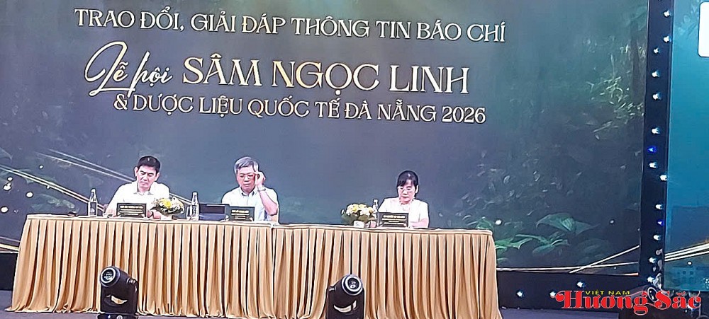 Bảo tồn, phát triển, trải nghiệm Sâm Ngọc Linh -