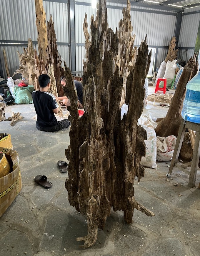 Nghề ngồi cả ngày với khúc gỗ, chỉ một nhát dao sai có thể mất cả chục triệu đồng Nghề ngồi cả ngày với khúc gỗ, chỉ một nhát dao sai có thể mất cả chục triệu đồng