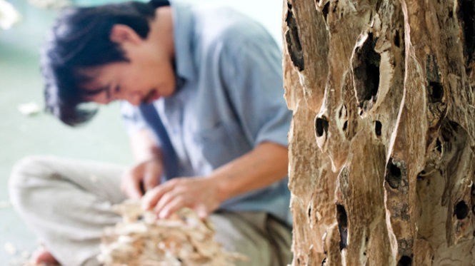 Nghề ngồi cả ngày với khúc gỗ, chỉ một nhát dao sai có thể mất cả chục triệu đồng Nghề ngồi cả ngày với khúc gỗ, chỉ một nhát dao sai có thể mất cả chục triệu đồng